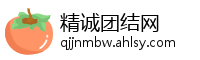 精诚团结网